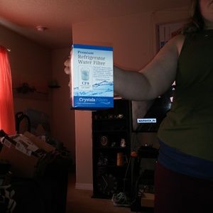 Refrigerator water filter